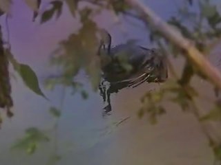Les fruits de la strast (1981) - na porno prizori
