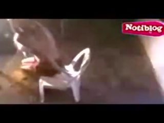 フェリックス テロ: especial エリカ mitdank