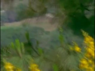 আবেগ cove s02e06 - উপর দ্বারা sunday