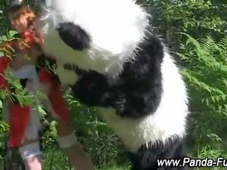 Plush panda fairytale untuk merah menunggangi kap