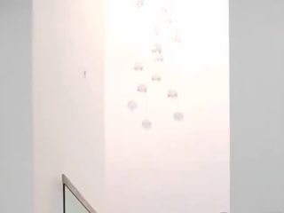 Explosive 개의 위치 교련