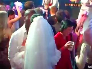 Super desiring brides suck big cocks in public