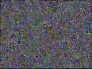 The smashing staruri porno tăiat - vanessa del rio - vol. xiv