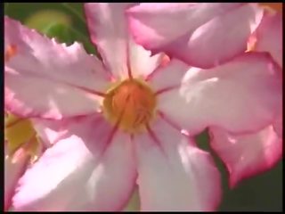 エリカ ベラ アット ザ· プール