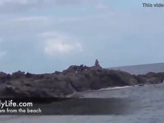 业余 摩洛伊斯兰解放阵线 自慰 在 该 海滩 同 一 爱人