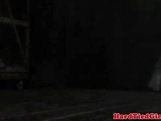 Kitten hrát v bondáž mittens svázaný dolů