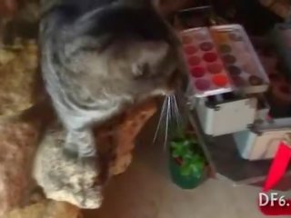 Manhood задоволений по a незаймана