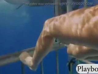Lákavý hotties swam s shark v the klec a snowboarding