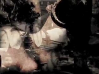 포도 수확 victorian 동성애자