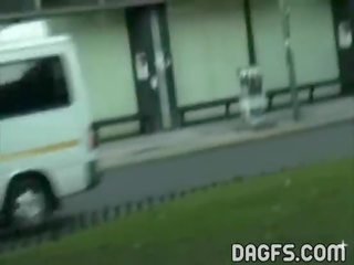 Veliko oprsje špansko dvignjeno krilo in utripa