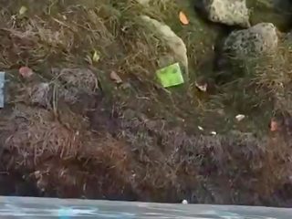Active правен възраст дама гадно и вози