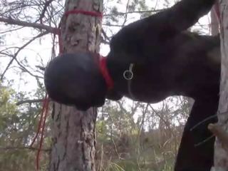 Tied up to a tree outdoor on flirty clothes&comma; wearing pantyhose and high ankle boots heels&comma; rough fuck